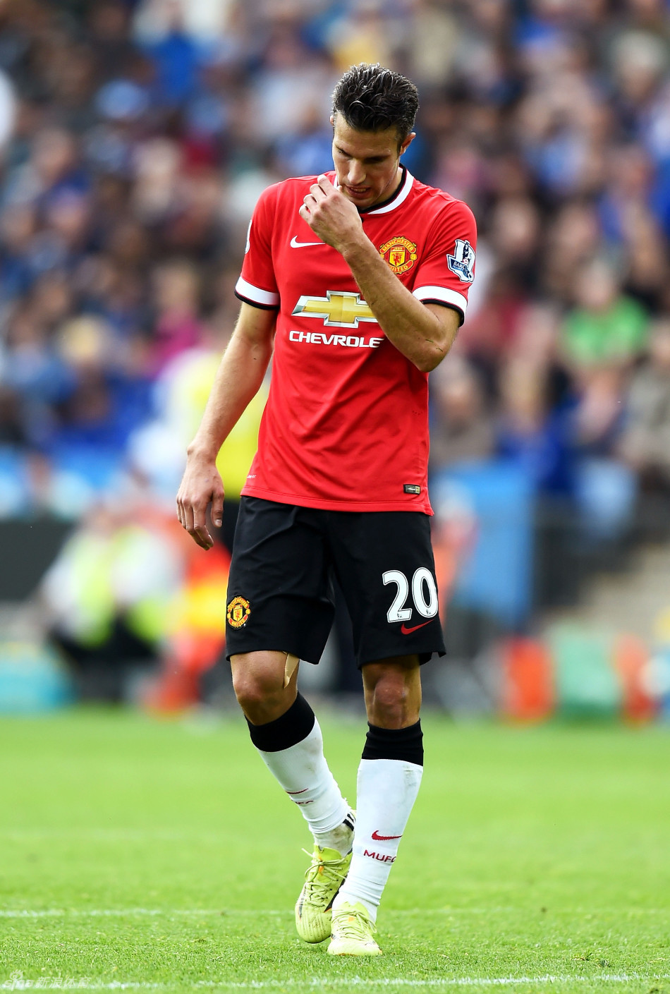 末节数个前 末节数个前