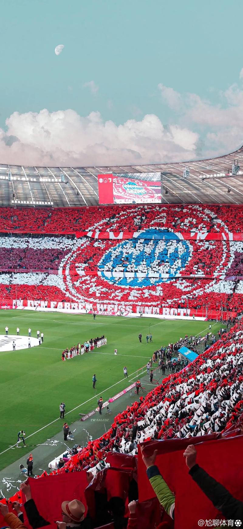 下路双人组 下路双人组